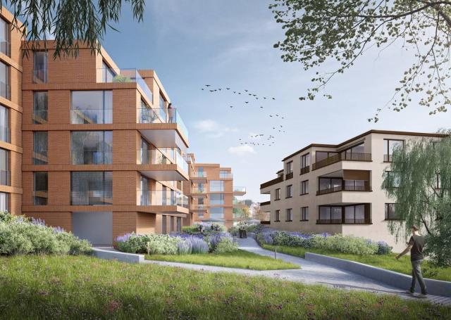 Molki Areal, Wädenswil